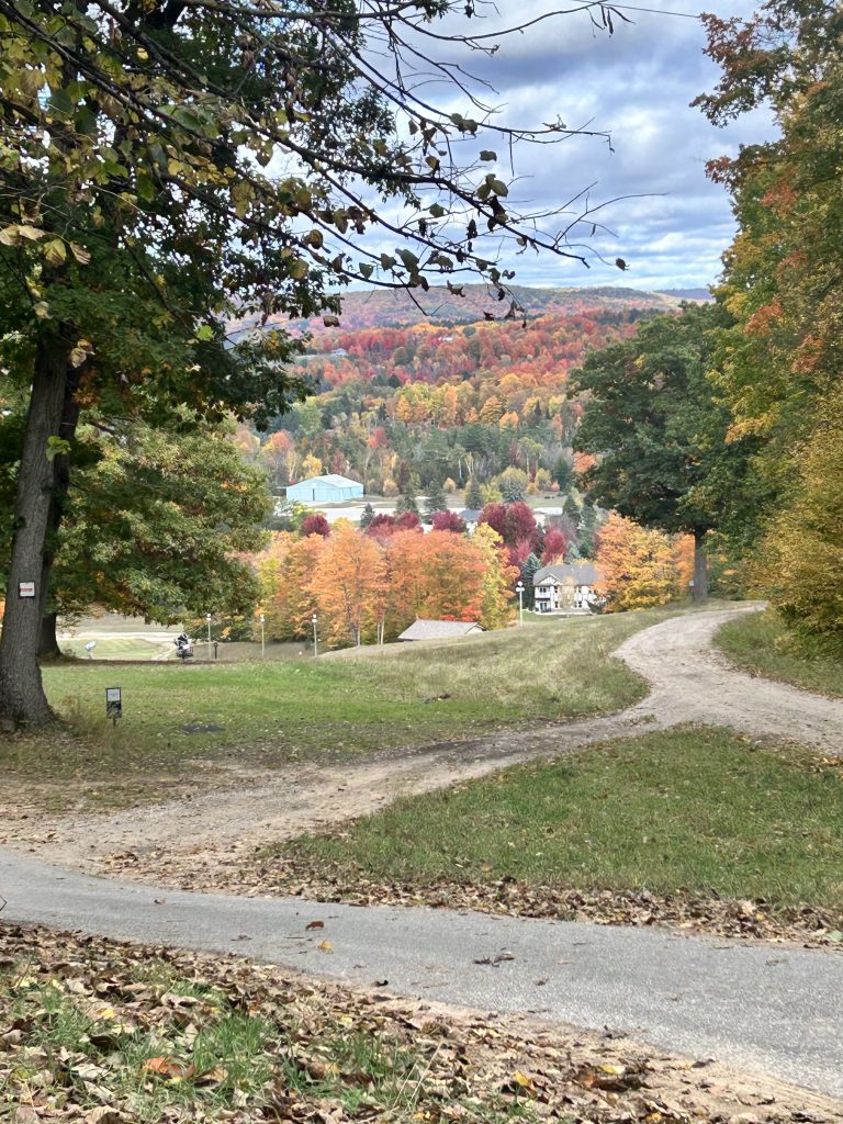A scenic view of a hilly landscape showcasing vibrant autumn foliage in shades of orange, red, and yellow. A winding path leads down the hill, with a few buildings visible in the distance.