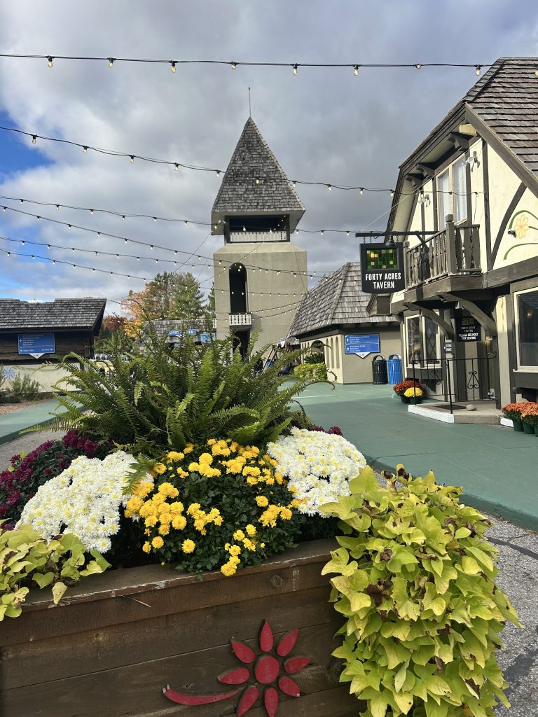 A view of a picturesque outdoor area featuring a tower with a peaked roof, surrounded by blooming flower beds with colorful blossoms. There are string lights hanging above and a building labeled 'Forty Acres Tavern' in the background under a partly cloudy sky.